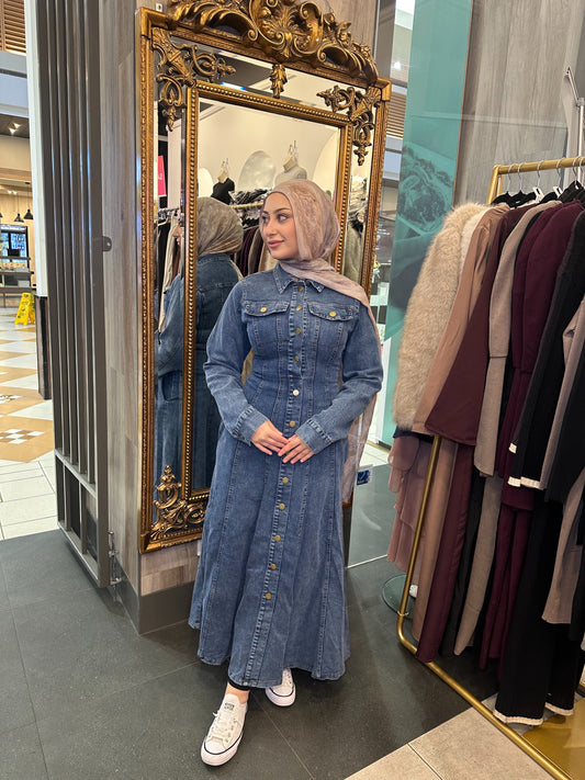 Anisa Denim Dress