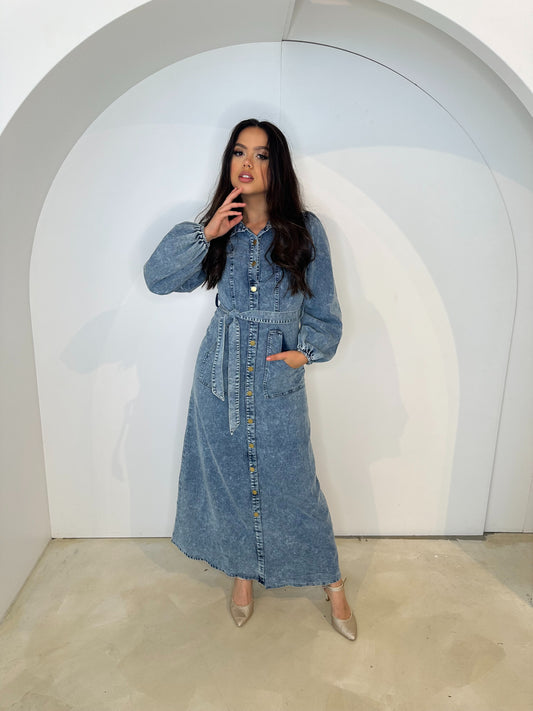 Anisa Denim Dress (Denim)